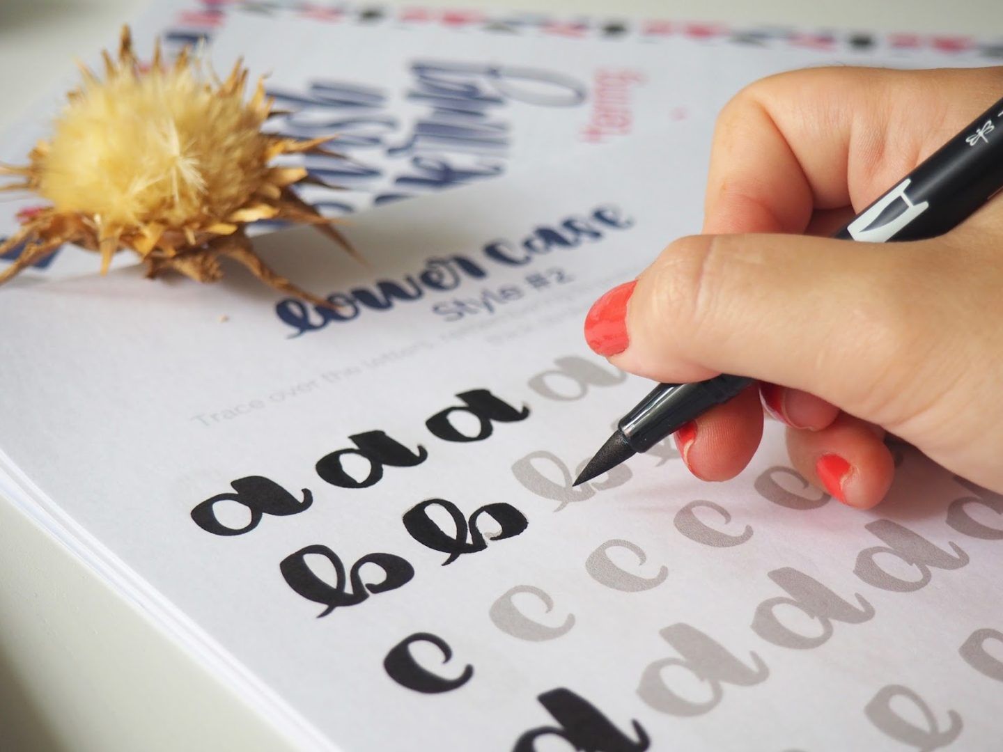 Mis 5 trucos para iniciarse en Lettering The Flower Journal